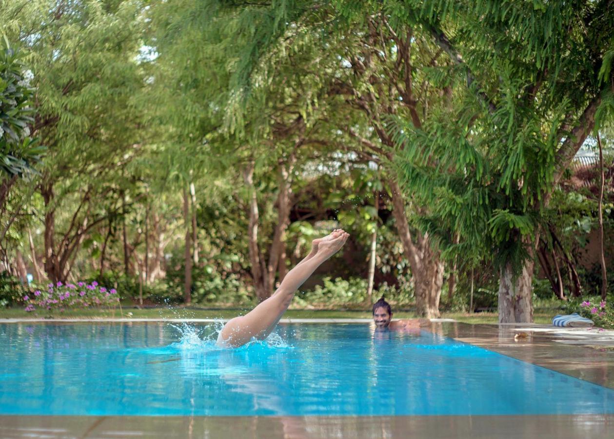 Pushkarorganic - Lux Farm Resort With Pool Exterior foto